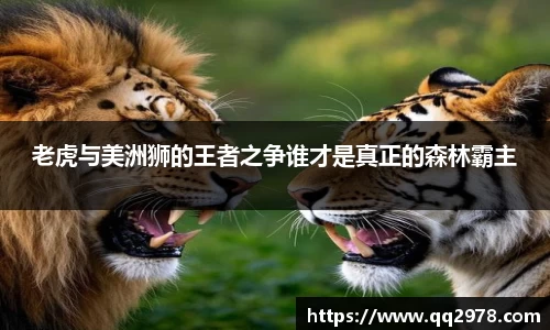 老虎与美洲狮的王者之争谁才是真正的森林霸主